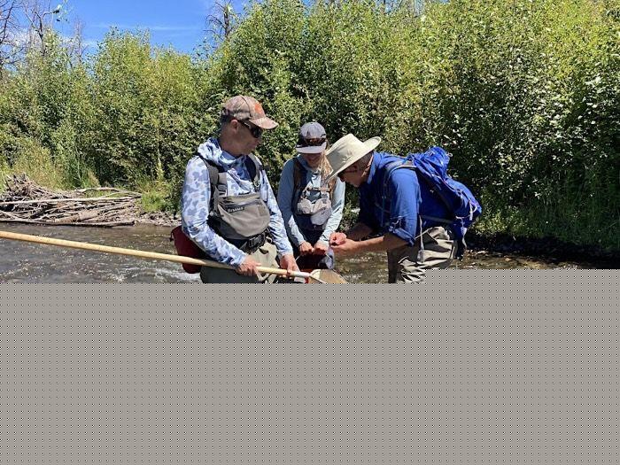 Explore calendar for Aug. 1-7: Stream Sampling on Whychus Creek