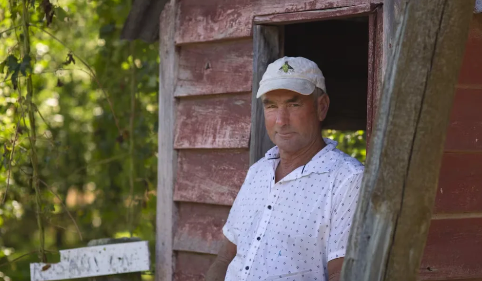 Wife was laughing with husband when tree suddenly came loose and hit him