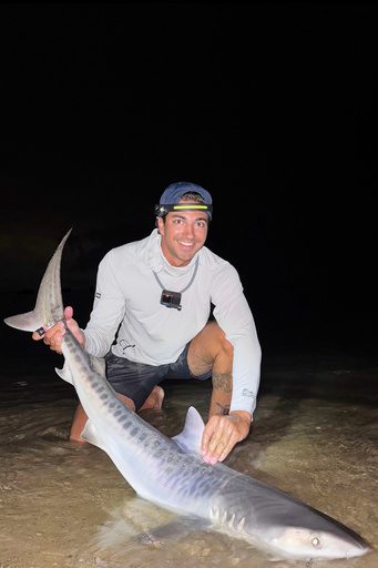 Tiger shark caught off Massachusetts could be sign of warming waters