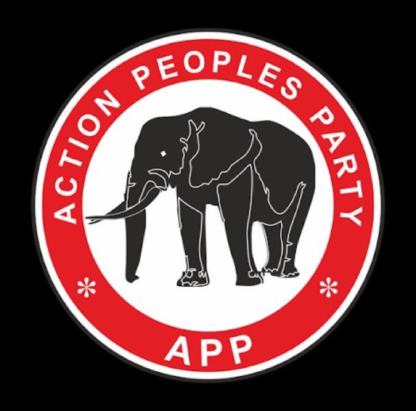 Appeal Court Judgement Saved Nigeria’s Democracy – APP Chieftain, Amadi