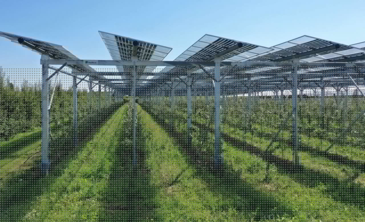 Spain’s MITECO allocates €360 million to co-located BESS with agriPV, floating solar