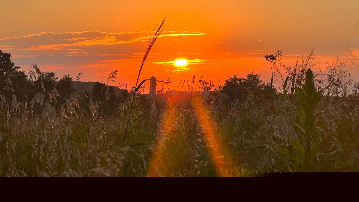 Iowa Prairie Trail Leads to Hidden-Gem Pond and Sunflower Plot