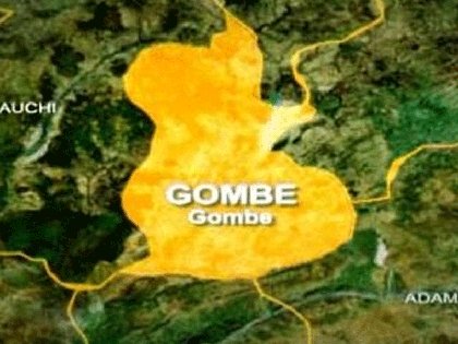 House Urges Tinubu to Direct CDS to Flush Out Bandits in Gombe