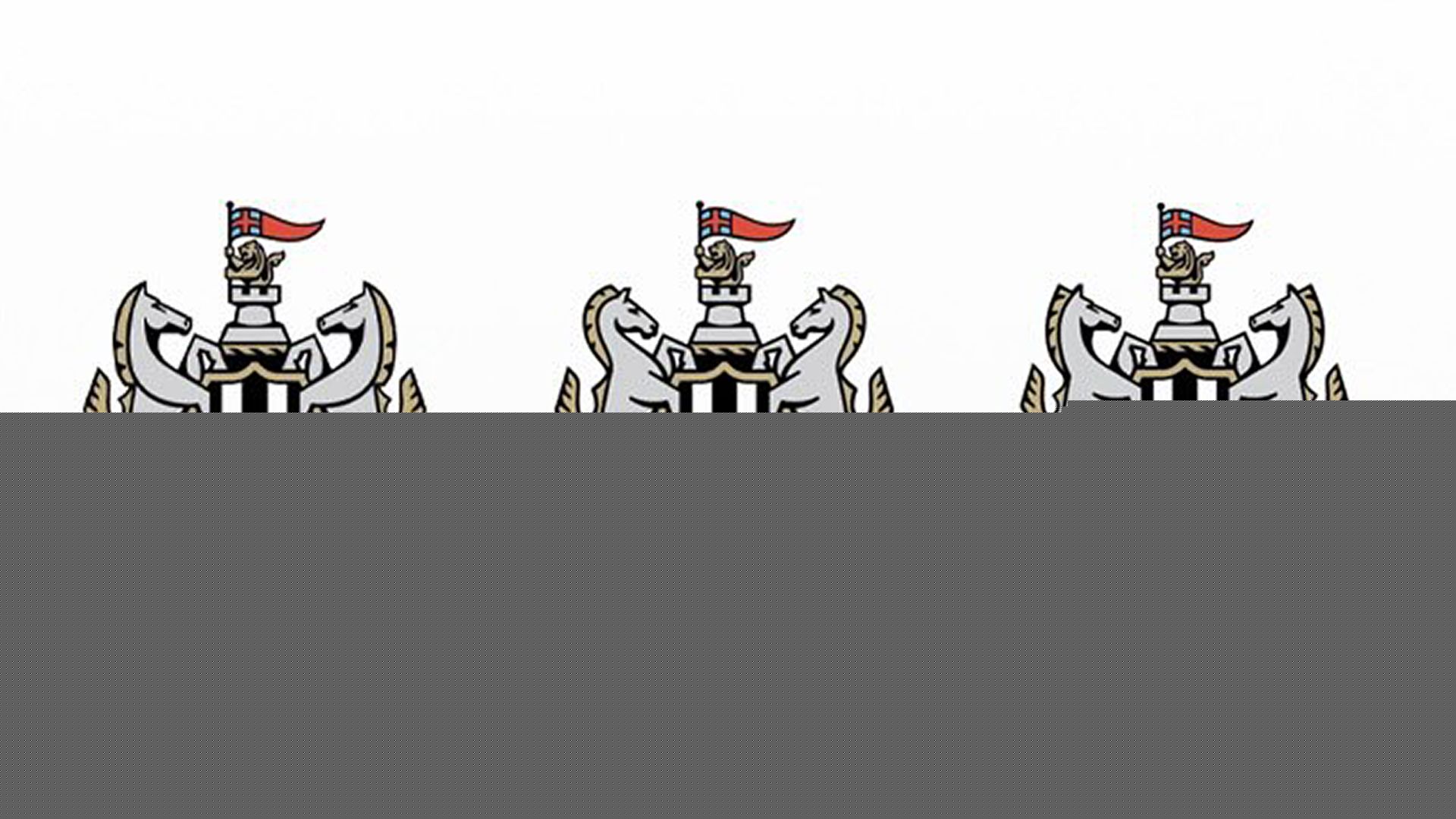People can't decide whether Newcastle United's logo design poll is a joke