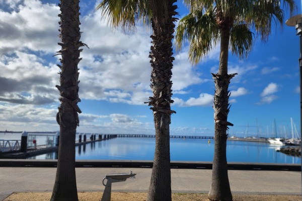 Young Endeavour heads to Geelong