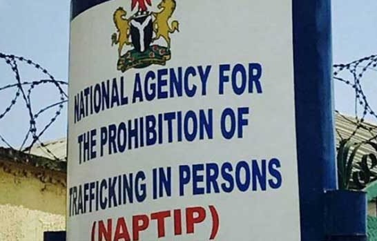 NAPTIP rescues eight victims, nabs two suspects in Kano