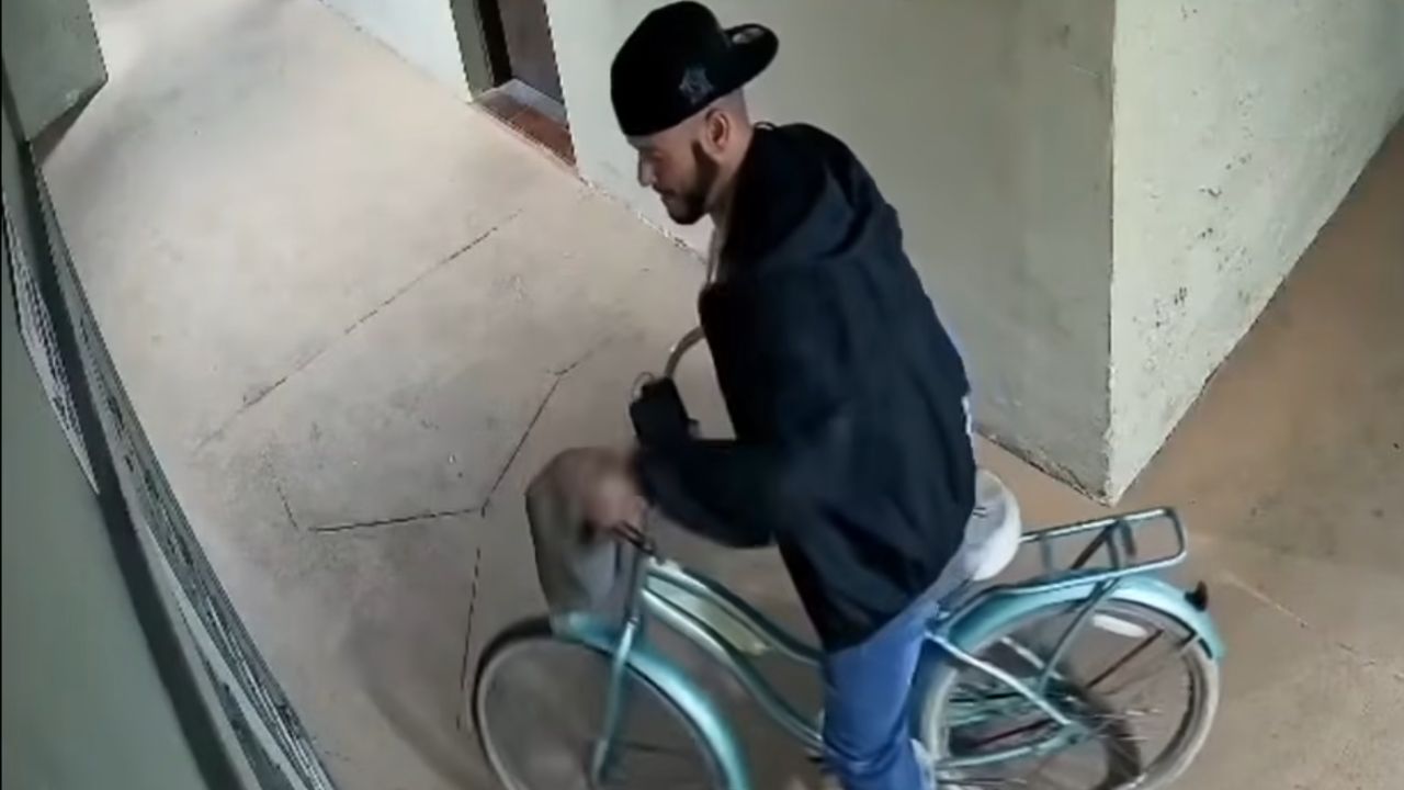 Residents Reported Missing Mail for Three Months. New Cameras Finally Caught Someone
