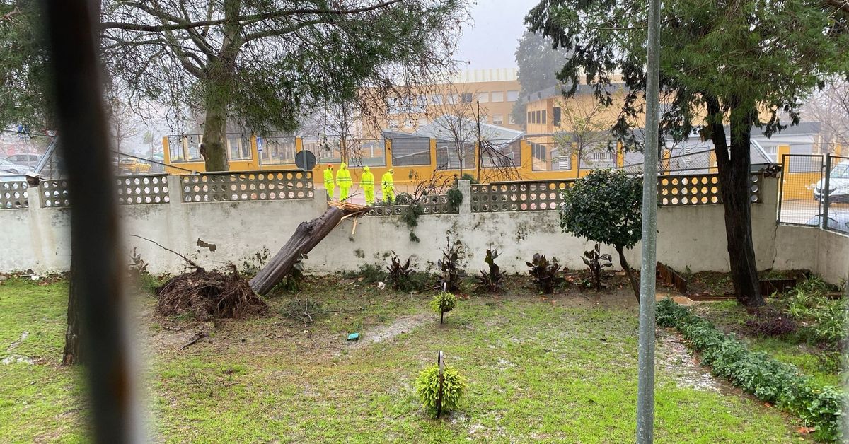 "Si cada vez que hay una alerta naranja hay que cerrar colegios, todos los días cerraría alguno"