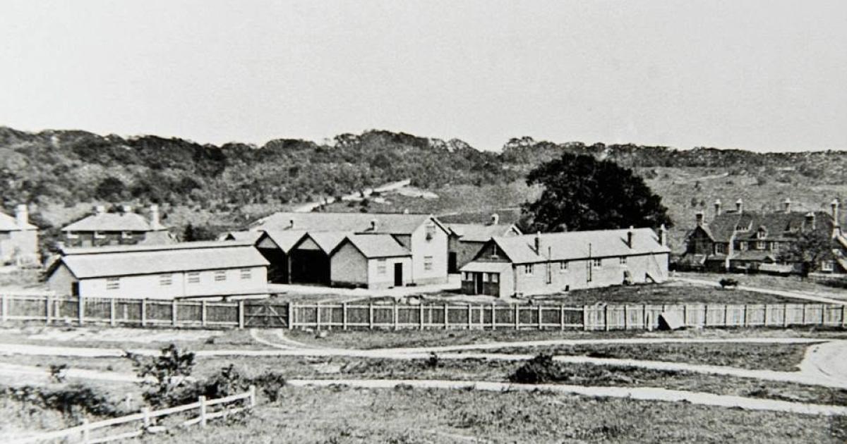 The deadly New Forest factory that supplied the world with explosives