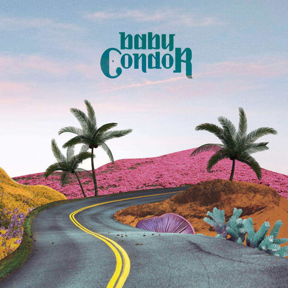 Baby Condor - Baby Condor (Mermaid Studio)