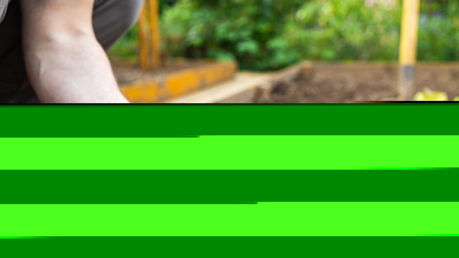Soil Conditioner Vs. Fertilizer: How To Tell Which Is Best For Your Garden