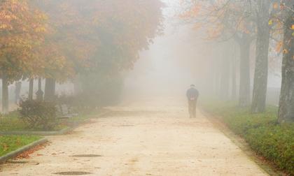 Parker Palmer on Autumn, Aging, and Acceptance