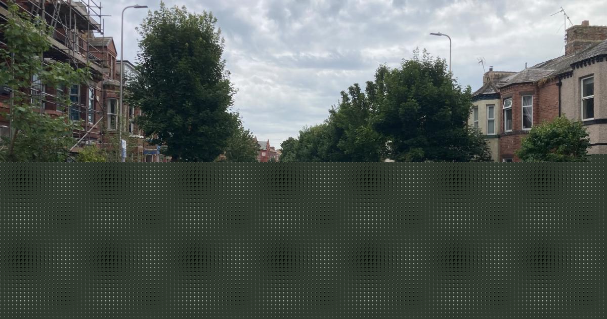 'Inexorable’ - Plans for two HMOs on the same street refused by councillors