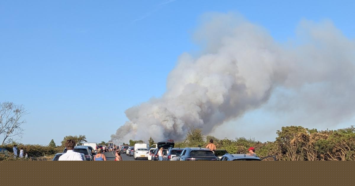 Facebook group set up to help motorists retrieve cars from A31 fire