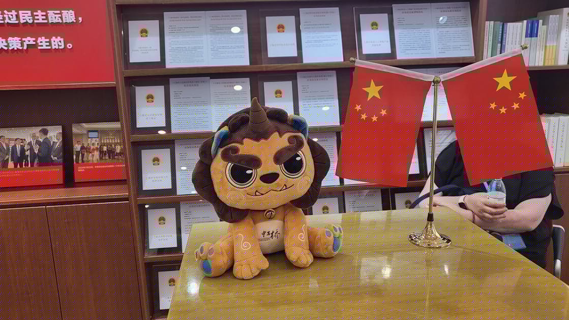 Die größte und erfolgreichste Partei der Welt: Warum die KP Chinas gute Laune hat