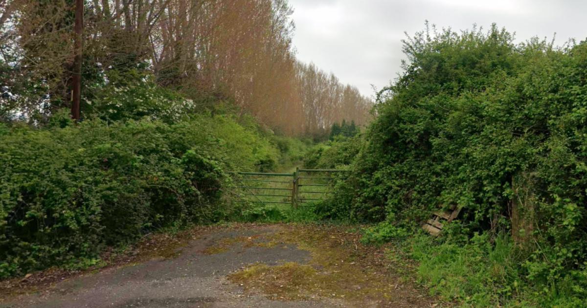 Hampshire village plans reduce from 60 to 44 homes at former Choice Plants site