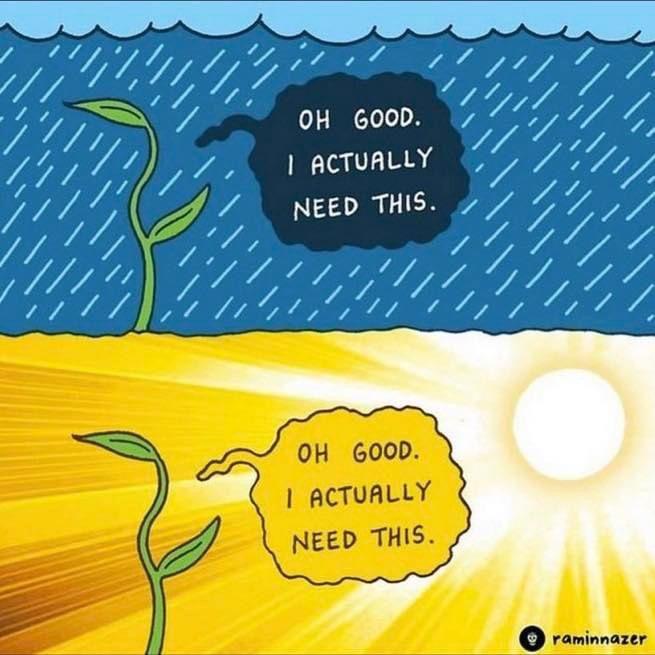 Wholesome Memes - Trueeeeeeeee | /r/wholesomememes