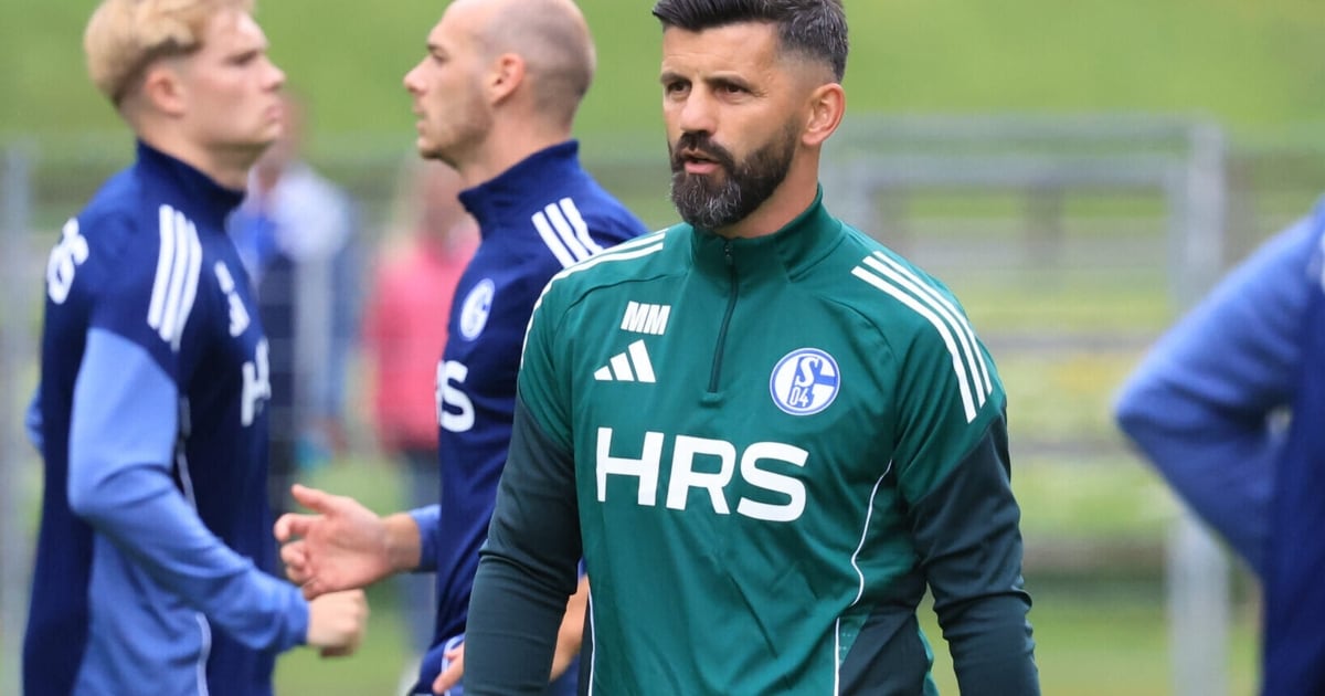 Spieler war schon da - Schalke stinksauer: Wechsel doch noch geplatzt