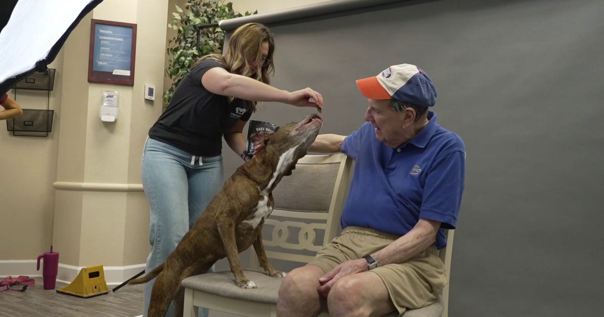 Senior dogs paired with senior residents for shelter adoption push