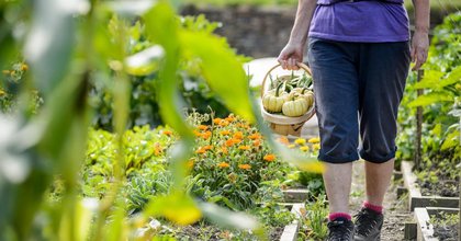 'Tensions' at allotment association after chaotic public meeting