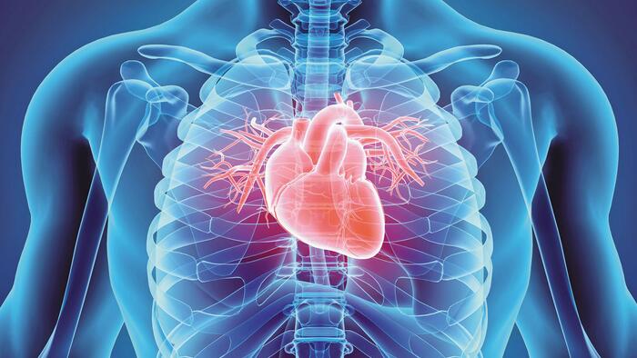 Medical Group Reveals Major Role Inflammation Plays In Heart Disease