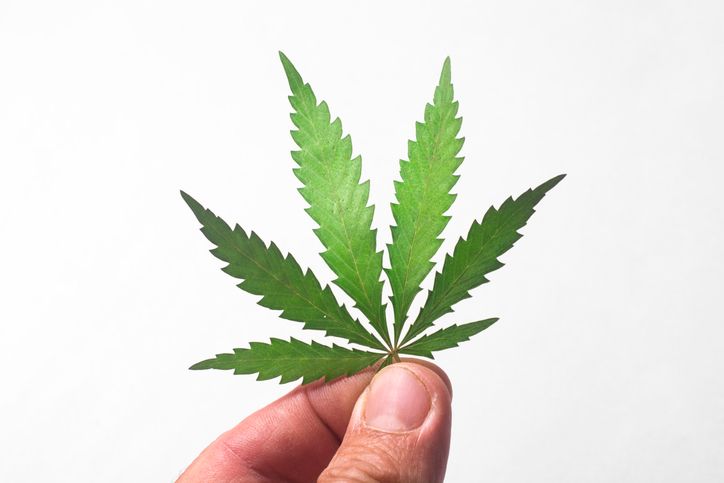 CMPD Sued Over Arrest For “Legal” Weed