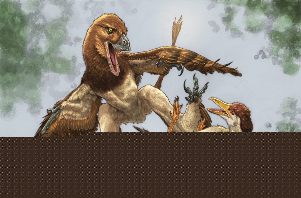 Carnegie Museum of Natural History curator leads discovery of new dinosaur species