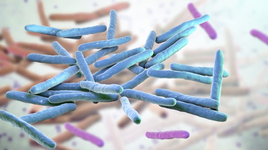 Leprosy cases climb in Florida: Here’s how to reduce your risk
