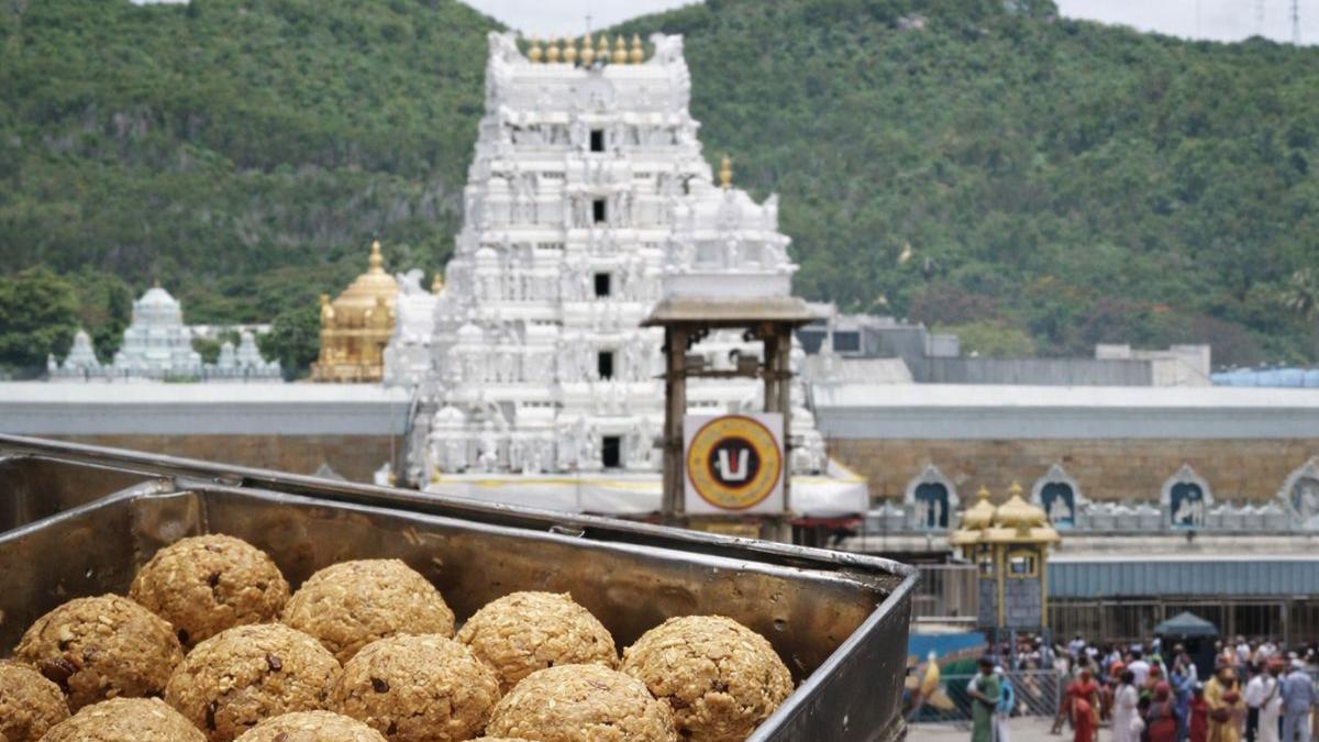 CBI clears Tirupati laddu of animal fat, YSRCP demands apology from CM Naidu and Pawan Kalyan