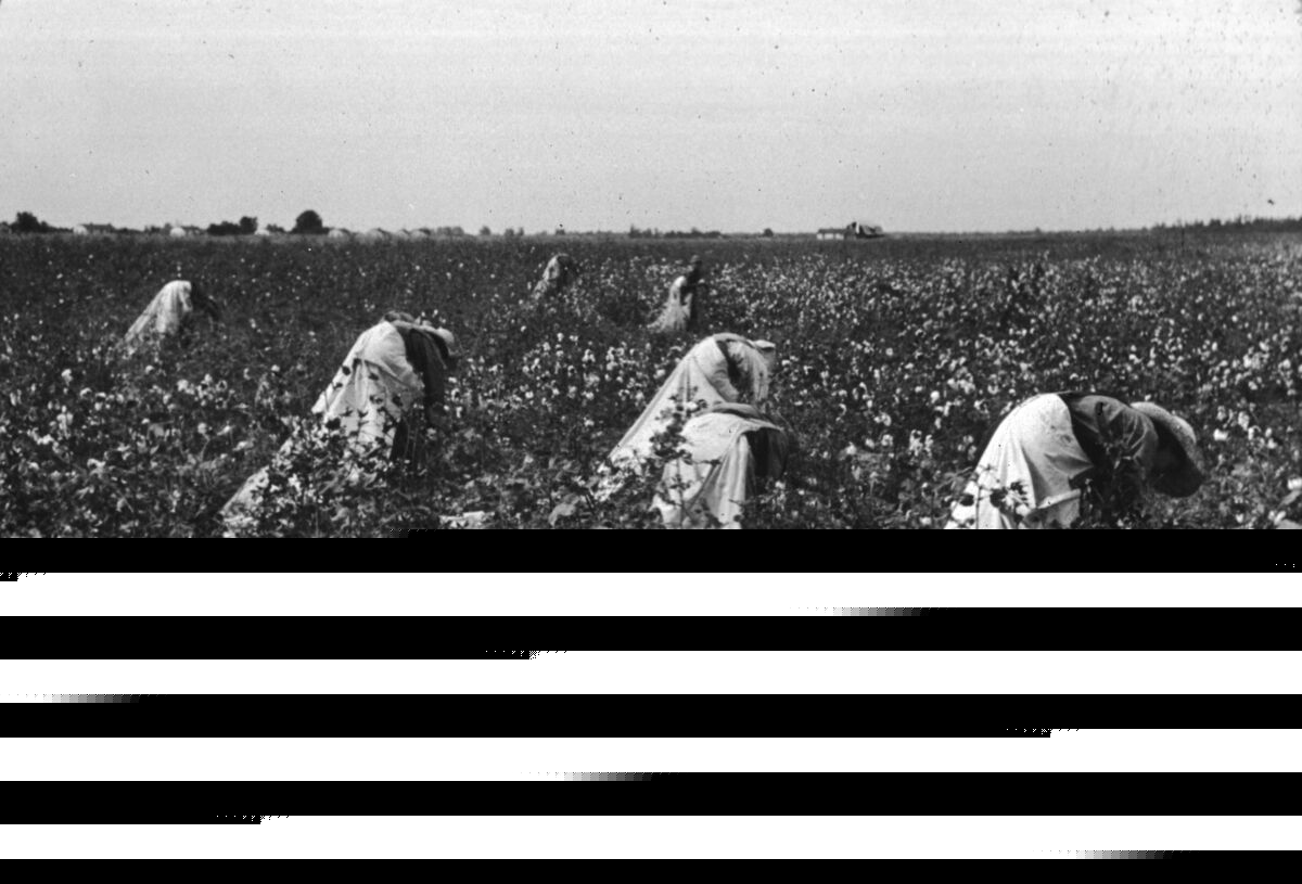 Look What Has Been Taken From Black Americans