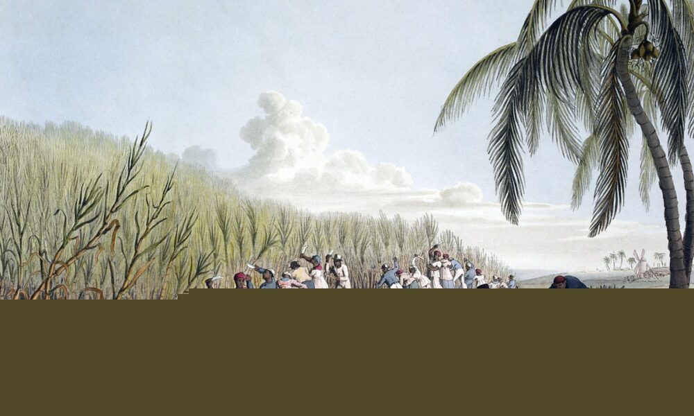 The Business of Slavery From Africa to the New World Part 3: The Factory in the Field