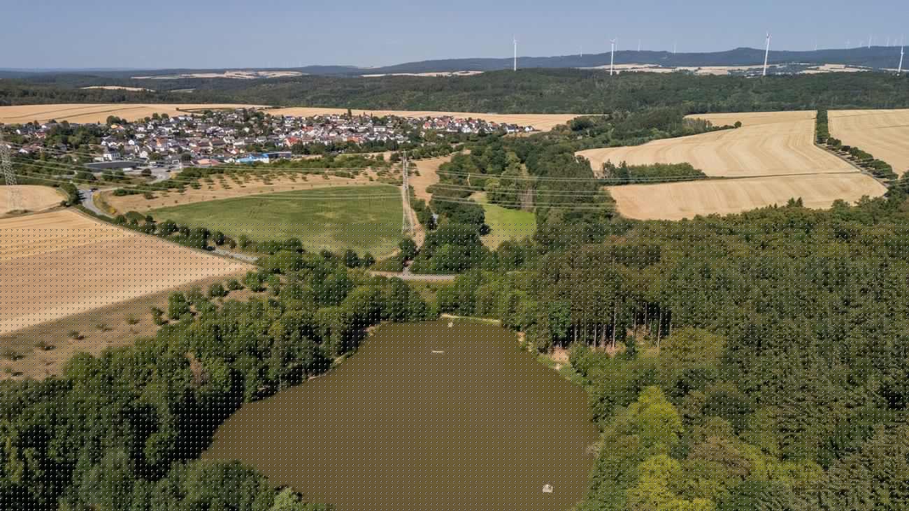 Angelteiche in Not: Hessens Fische sind im Hitzestress