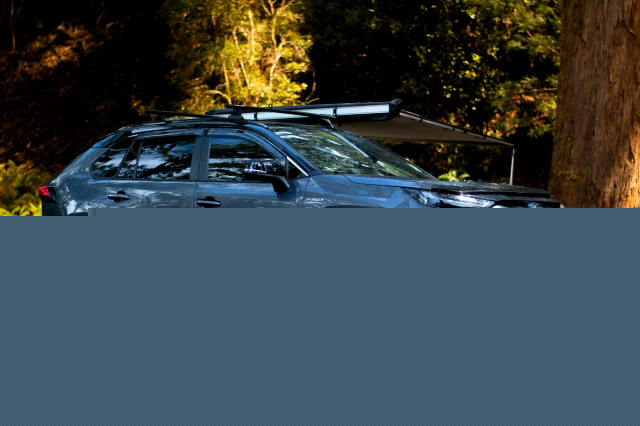 10 Tips from Auto.bg for Buying a Toyota RAV4