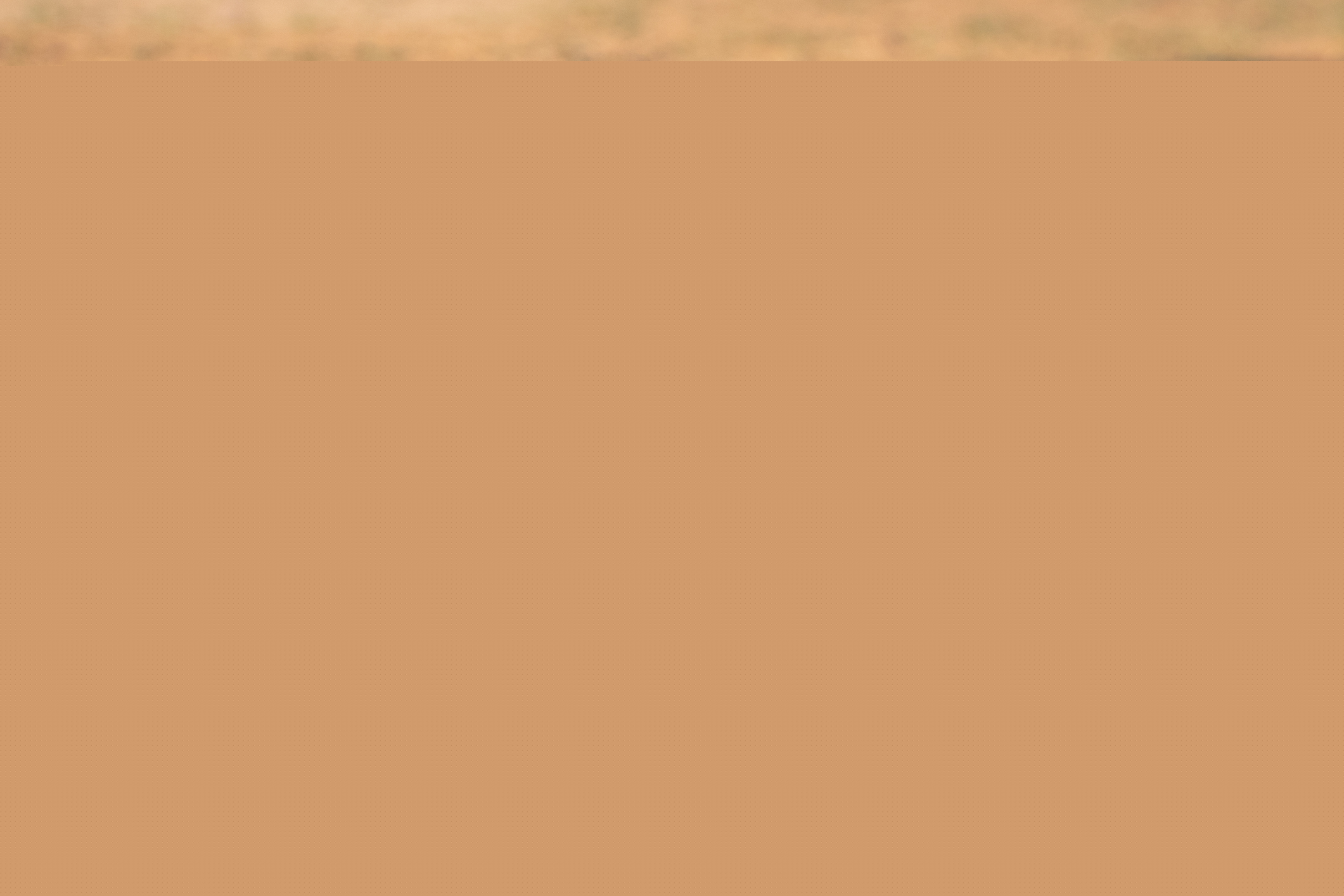 Long Island Game Farm Launches Long Island Capybara Club