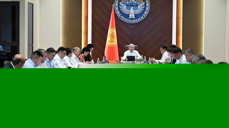 Cabinet approves order of implementation of Government Accelerators Program