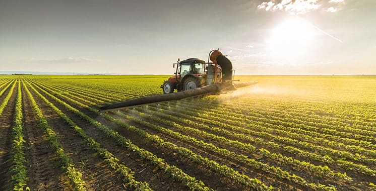 Morocco’s 2025 Agri-Food Exports Hit Record MAD 86.2 Billion