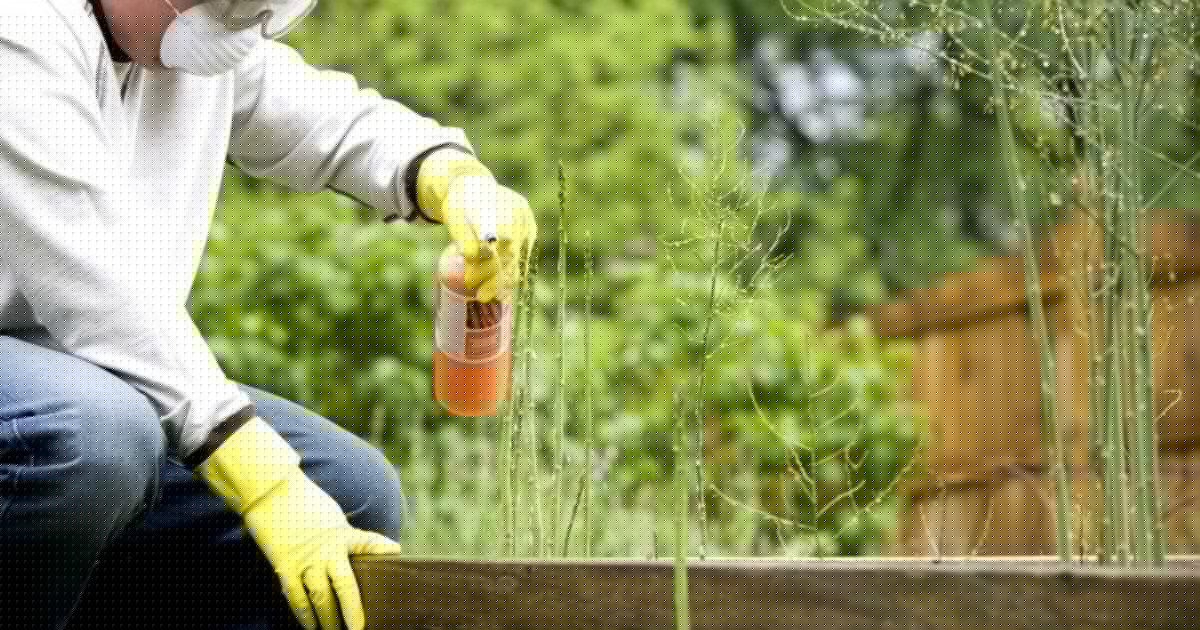 I pesticidi e l’ipotesi di un rischio fino al 71% di sviluppare la Sla per chi è esposto, lo studio sui dati di otto paesi tra cui l’Italia