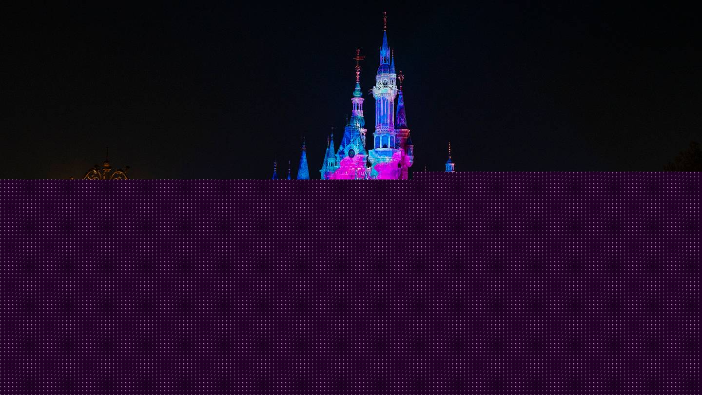 Calling All Disney Adults: You Can Take a Private Jet Trip to All 12 Disney Parks—For $110,000