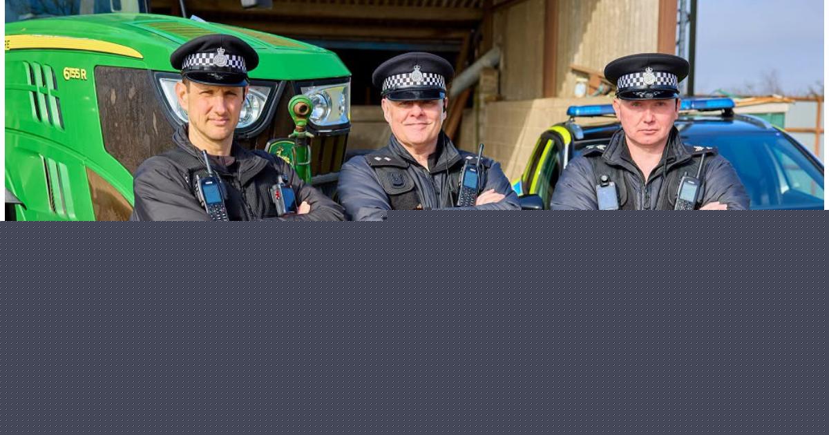 Man arrested after cattle stolen from North Yorkshire