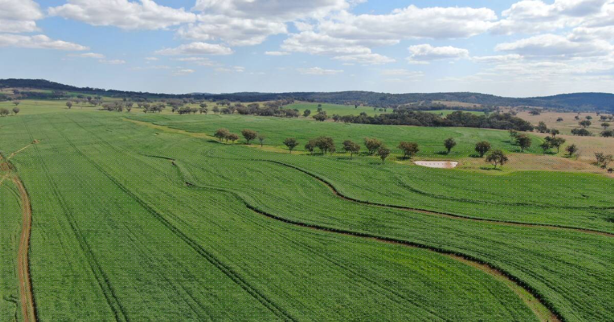 Excellent oats country with value-adding energy potential hits the market