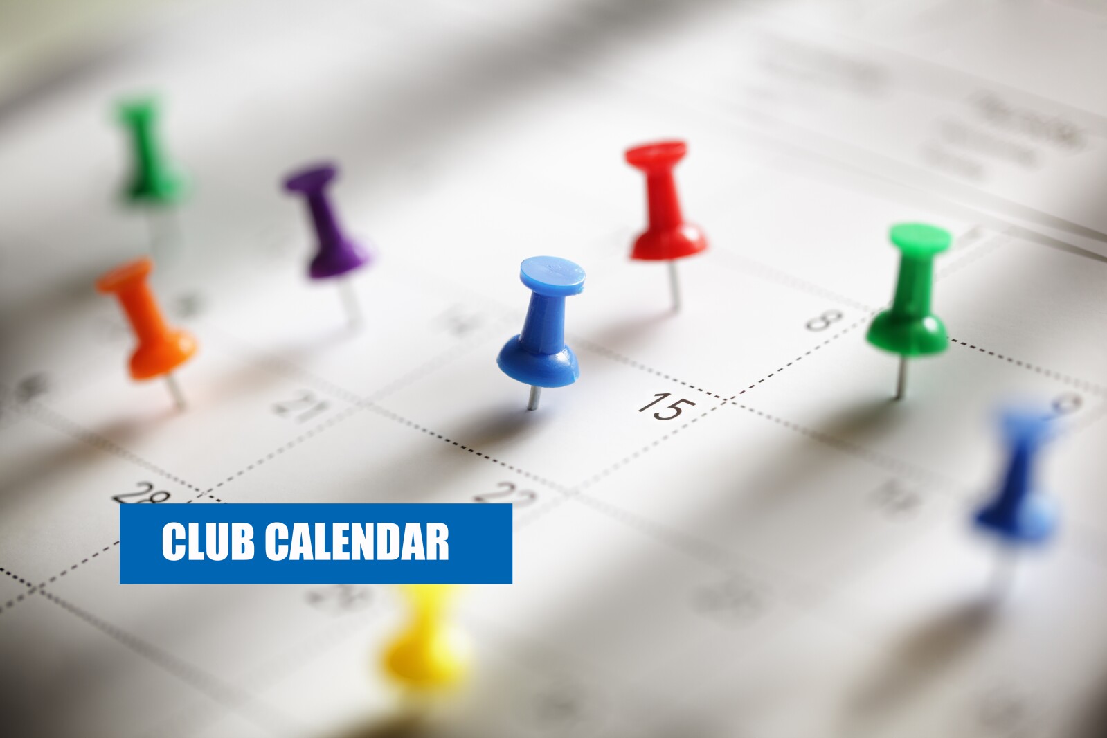 CLUB MEETINGS: Jan. 31-Feb. 6, 2026