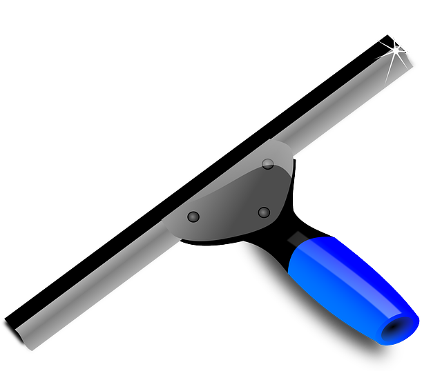 Comment on Life in Israel: Go mop that floor with a squeegee… by Gayle Greenley