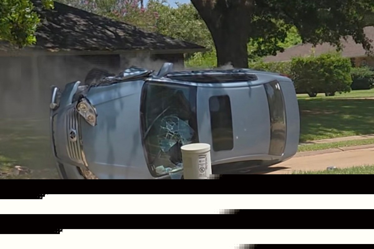 Quiet Neighborhood Walk Ends With Shocking Discovery
