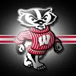 UW Badgers cruise past Illinois in volleyball