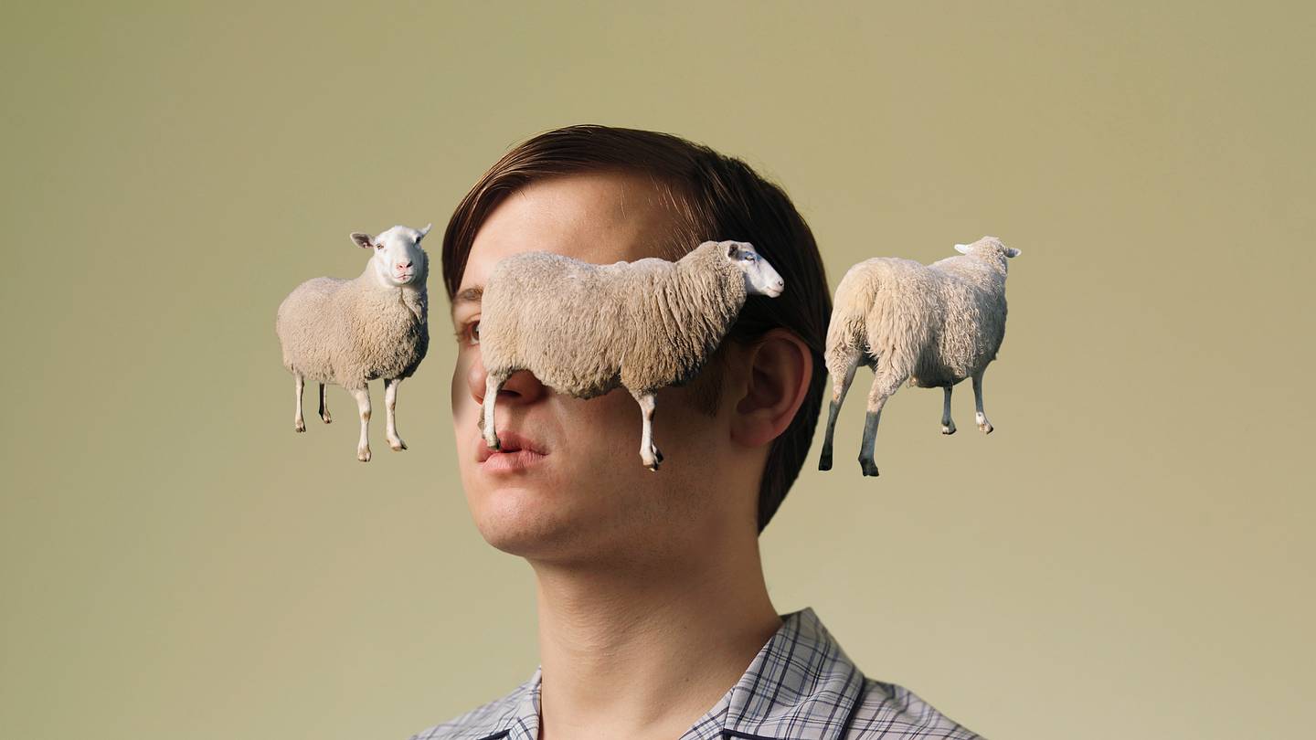 8 Facts About Insomnia