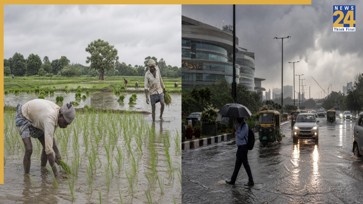 Monsoon update: Rain brings relief to Delhi-NCR, Haryana, but why are these 12 agriculture-dependent states facing severe rainfall deficit? Real reason revealed