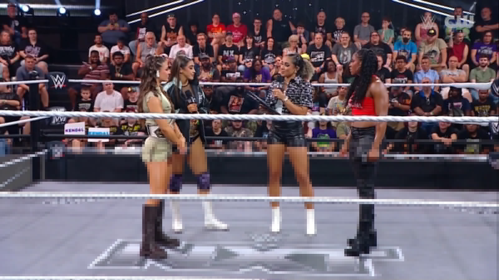Two title matches booked for WWE NXT Heatwave