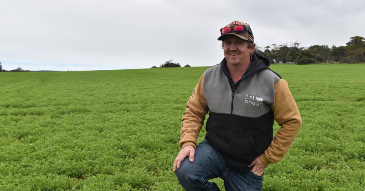 Barley solving paddock cover issue in lentil-dominant program at Avonlea Ag