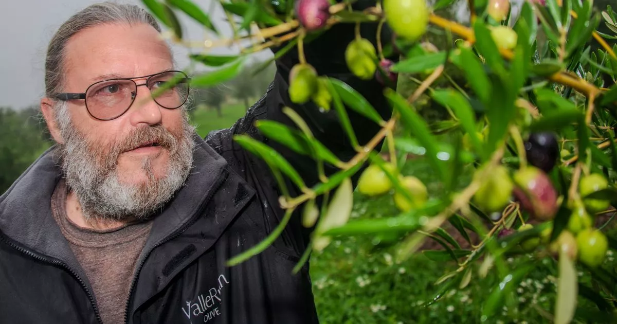 What started as a pub idea turned into Cornwall’s oil gold rush