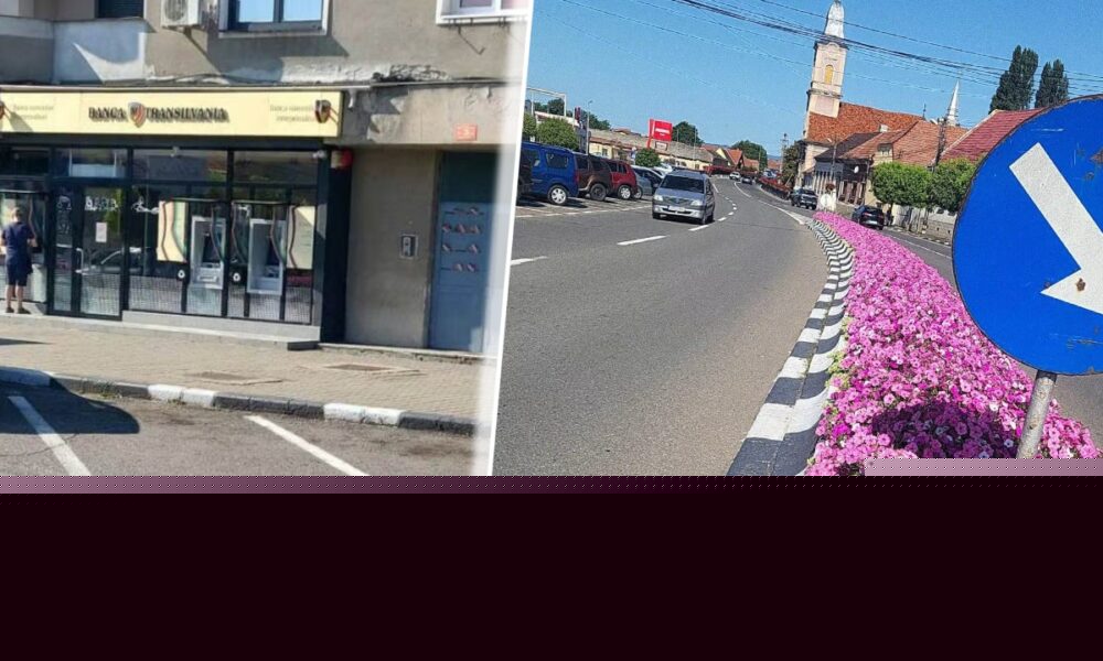 Care este semnificația bordurilor vopsite în alb și negru. Marcajul rutier care reduce semnificativ riscul producerii accidentelor
